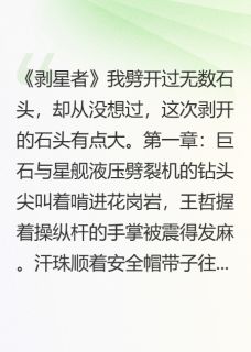 最新小说这次劈开的石头有点大主角王哲李博士全文在线阅读