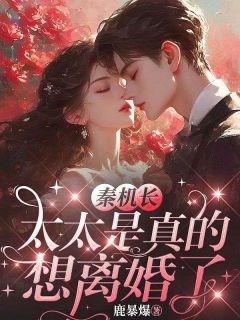 黎软秦不舟小说抖音热文秦机长,太太是真的想离婚了完结版-英驰看书网