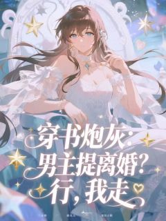 精品小说穿书炮灰:男主提离婚?行,我走全文目录畅读