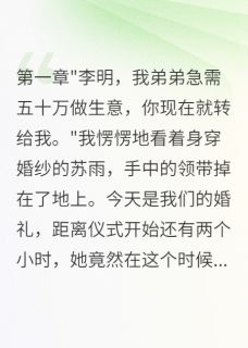 主角苏雨林小雅李明小说爆款结婚要五十万救弟我选她闺蜜完整版小说-英驰看书网