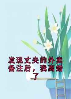 佚名写的小说发现丈夫的外卖备注后，我离婚了在线阅读