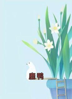 主角方霓江盛宇小说，鹿鸭免费阅读全文