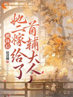 老书虫看了N遍的被休后,她二嫁给了首辅大人最新章节