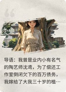 从百万债务到生死纠缠(傅山沈鸢)全文完整版阅读