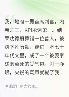 我,地府判官,在年代文里搞KPI小说免费版阅读抖音热文
