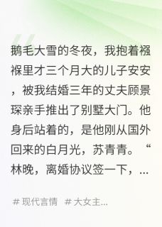 值得熬夜看完的追妻火葬场,但男主换人了小说阅读