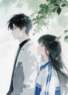 抖音双生夏夜晚风来小说章节阅读