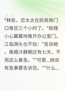 陪助理见家长，我撤销了离婚申请苏晚晚江临渊小说完整在线阅读-英驰看书网