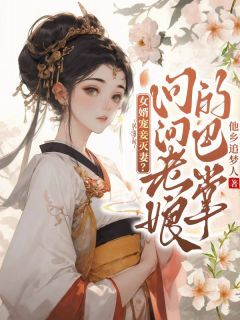 女婿宠妾灭妻？问问老娘的巴掌免费小说作者他乡追梦人全文阅读