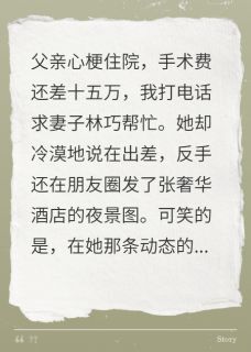 正版小说父亲病危,妻子却和老总潇洒施文柏林巧在线免费阅读