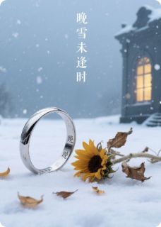 优质新书晚雪未逢时最新章节小说全文阅读-英驰看书网