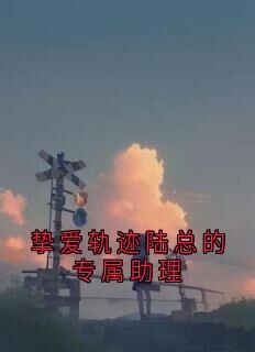 挚爱轨迹陆总的专属助理小说_挚爱轨迹陆总的专属助理小说结局阅读