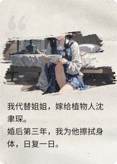 书荒必备沈聿琛苏晚小说-英驰看书网