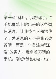 (独家)老婆转账五百万给前男友我要离婚苏晴江浩小说-英驰看书网