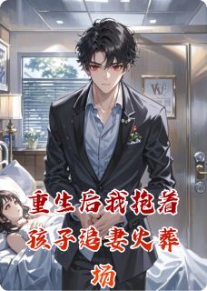 沈聿白苏晚全集小说_重生后我抱着孩子追妻火葬场完结版阅读