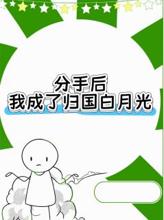 分手后，我成了归国白月光陆恒林婉全章节在线阅读-英驰看书网