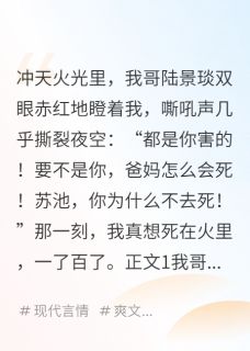 哥，这辈子我不回家了(陆景琰薇薇姜超)最新章节