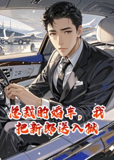 总裁的婚车,我把新郎送入狱大结局阅读 林舒江风陈阳小说在线章节