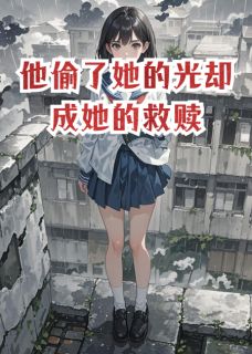 他偷了她的光却成她的救赎小说(完结版)-林晚沈牧在线阅读