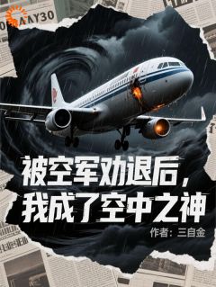 被空军劝退后,我成了空中之神全集小说_江辰秦语完结版阅读-英驰看书网