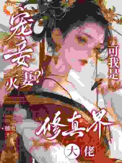 主角沈月华陆远舟小说爆款负心汉别跑！请试试我的斩渣剑完整版小说