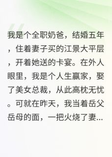 苏晴沈夜安安小说结局