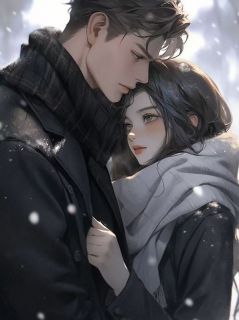 宋璐璐顾中智赵佳小说大结局在哪看-妹妹被当小三打,回家过年的我大杀特杀完整版免费阅读