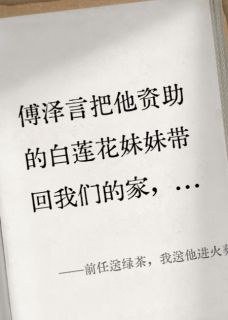 前任送绿茶,我送他进火葬场傅泽言白溪月陆星辞大结局小说全章节阅读