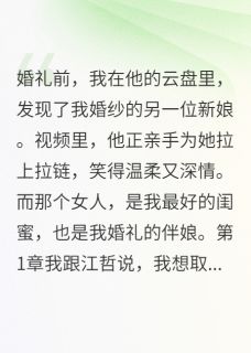 男友送我二手婚纱小说好看吗 江哲林淼最后结局如何