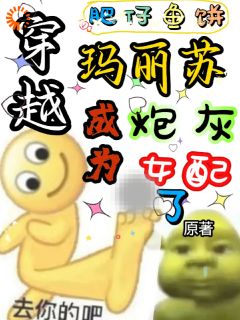 爆款小说穿越玛丽苏成为炮灰女配了-主角宋曦郁霖在线阅读