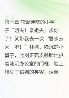 爆款小说小舅子求我带他去洗脚主角陆沉林浩全文在线完本阅读