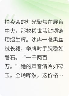 顾琛沈冉全文最新章节正版小说免费阅读