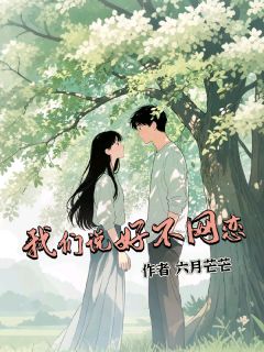 高质量小说我们说好不网恋在线试读