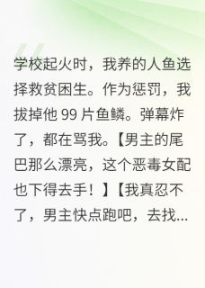 在黎明捡到一颗星小说_在黎明捡到一颗星小说结局阅读