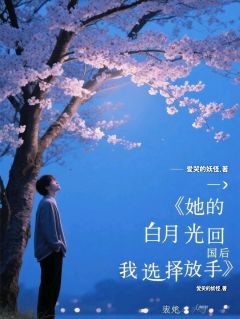 她的白月光回国后我选择放手by爱哭的妖怪