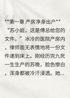 五年后，她带着萌宝炸翻大佬集团（苏晚傅霆渊苏小熙）精彩小说目录阅读