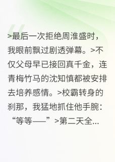 周淮盛沈知慎宋舟一丝不苟的婷姐小说全章节最新阅读-英驰看书网