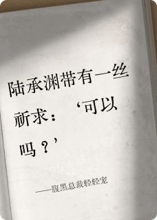 腹黑总裁轻轻宠完整版-苏晚晴陆承渊在线全文阅读