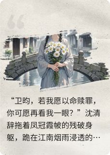 热文一世清霜换烬暖小说-主角沈清辞卫昀苏文彦全文在线阅读