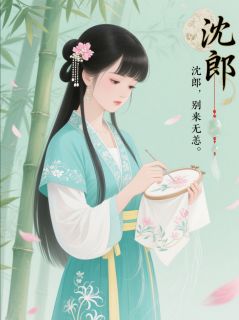 绣针藏锋:沈郎,别来无恙小说全章节目录阅读BY青予林完结版阅读