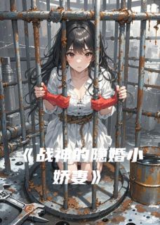 战神的隐婚小娇妻陆沉苏晚-小说txt全文阅读