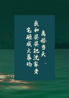 我和婆婆把老宅砸成火葬场小说全集(宋栀沈知涯江梨)无弹窗广告阅读