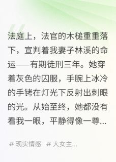最完整版我亲手把卧底妻子送进了监狱热门连载小说