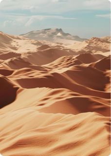 老书虫力荐迹实:沙海往事免费无弹窗阅读