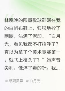 抖音爆款小说循环当天,我把霸凌者锁进美术室林晚晚江澈免费txt全文阅读