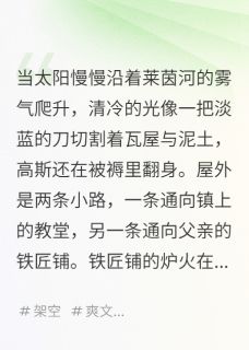 傅牍写的小说火与铜的童年在线阅读