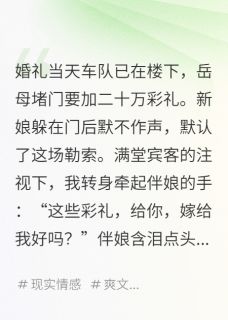 抖音婚礼当天加彩礼,我娶了她伴娘txt小说阅读