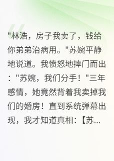 女友卖房救我弟,我分手后悔疯了by苏婉林小宇在线阅读-英驰看书网
