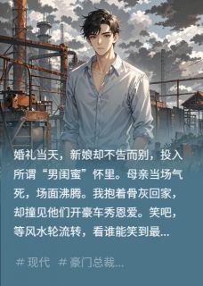 婚礼当天,新娘跟闺蜜私奔了李晨上官燕-小说未删减阅读-英驰看书网