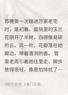 雾里看花,心上雪小说在线阅读,主角苏晚厉承爵沈念精彩段落最新篇